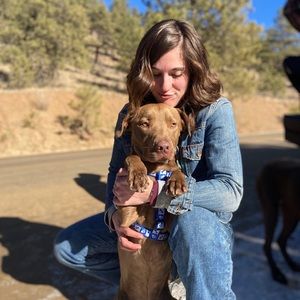 Meet your Posher, Amanda  r.
